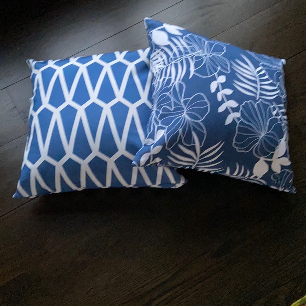 2 outdoor pillows. Great condition.